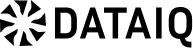 Dataiq - 